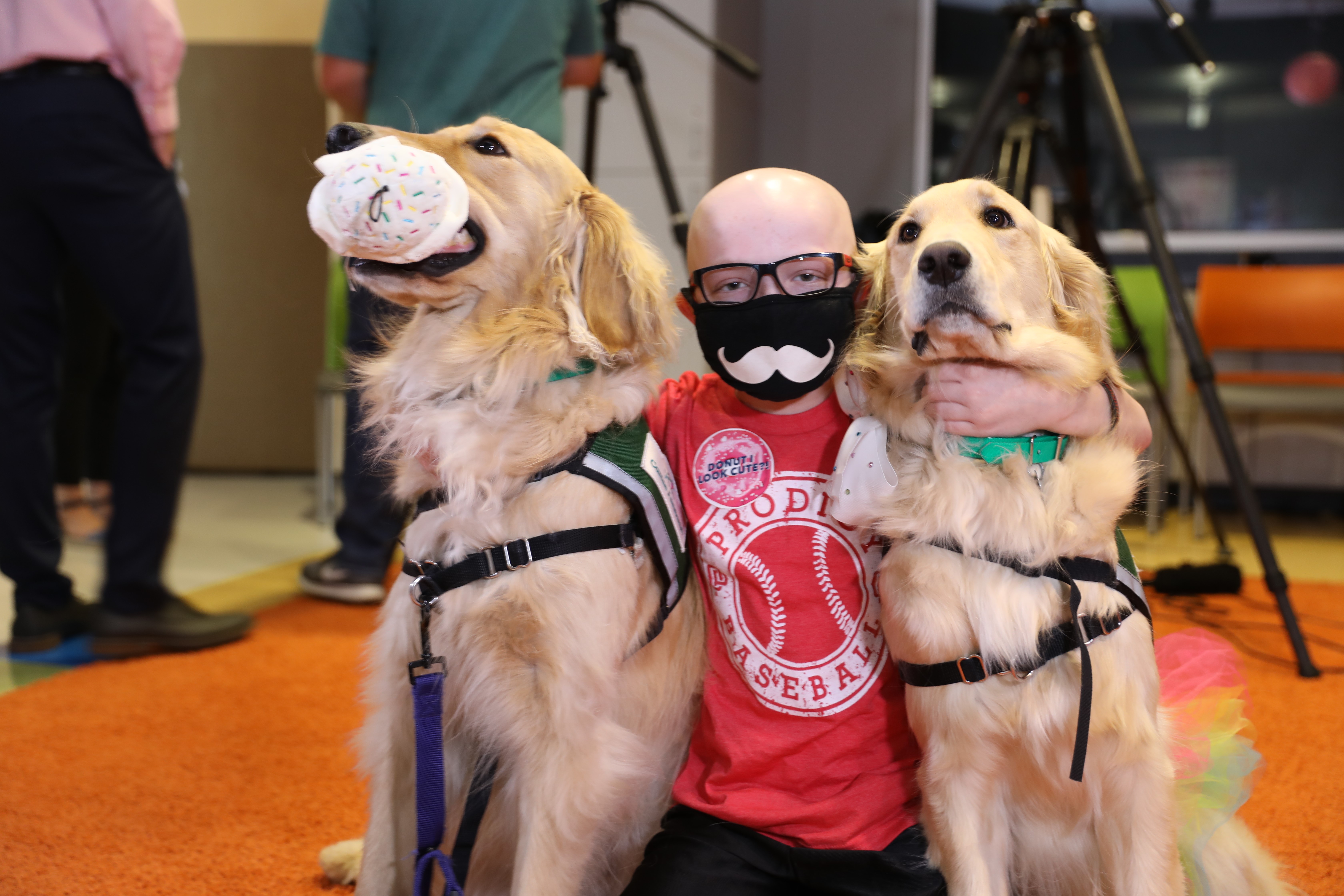 kid with two dogs637279275723458004 kid with two dogs637279275723458004